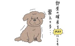 「暖房MAXでも震える犬」飼い主への健気な訴えに「かしこい！」「人間みたい」