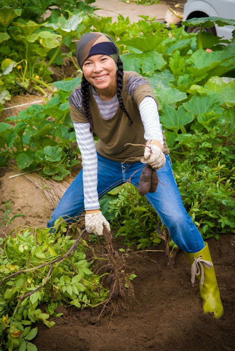 なかが紫色のジャガイモ、シャドークイーンを収穫する林マヤさん