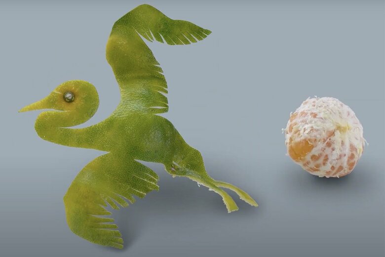 鳥が登場！（5/5）