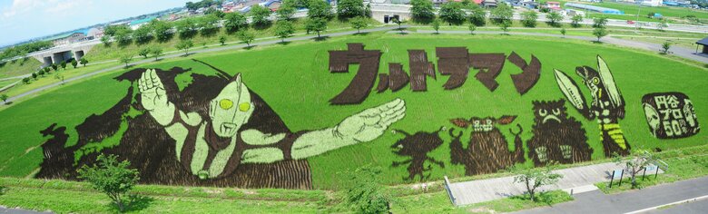 平成25年の第2田んぼアート作品「ウルトラマン」(c)円谷プロ（来場者数：約14万人）