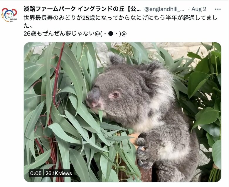 次の誕生日は2023年2月1日 。26歳もぜんぜん夢じゃない！