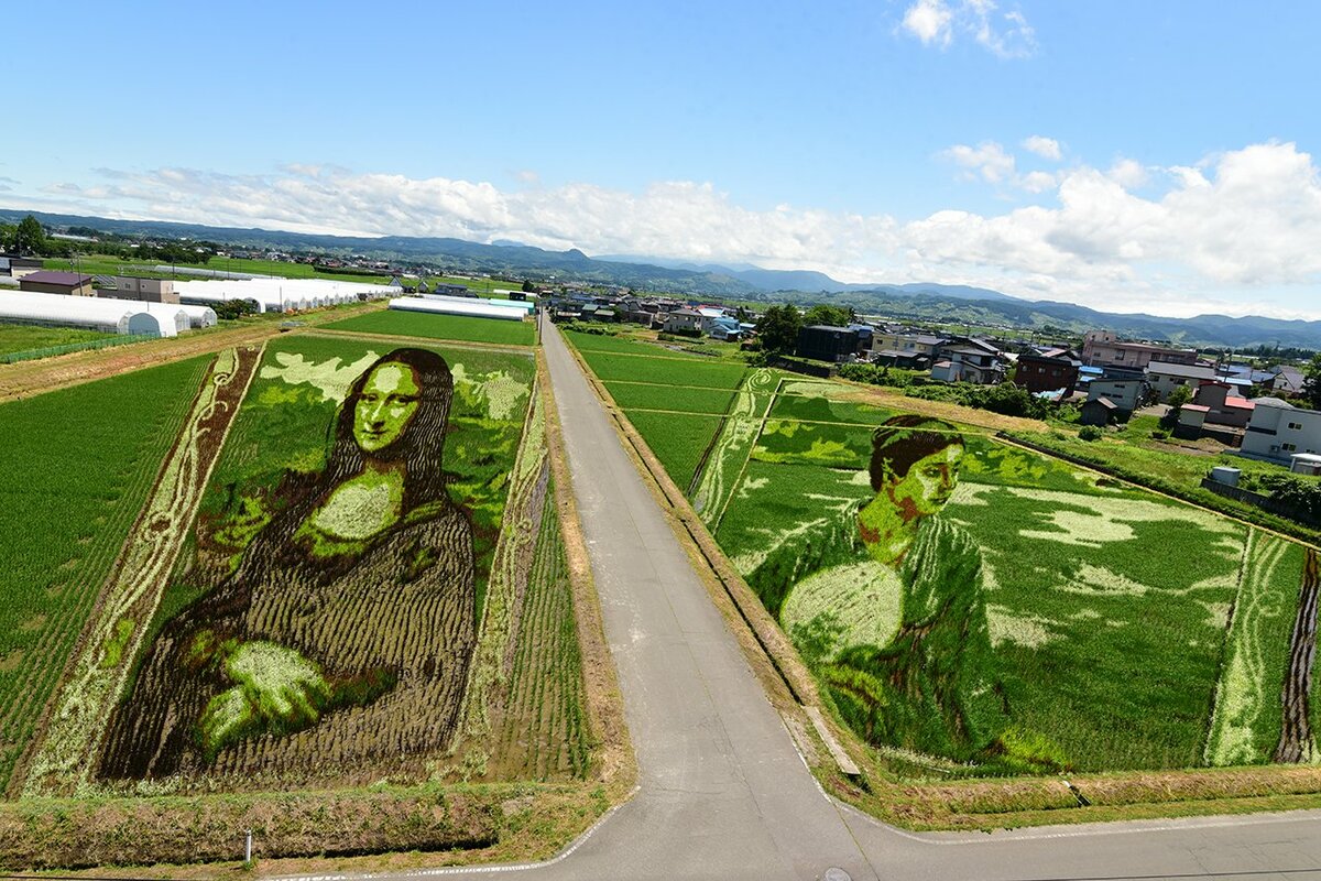 ちょっ、何これ！？」農村地に巨大な絵画が出現！田んぼアート発祥の地