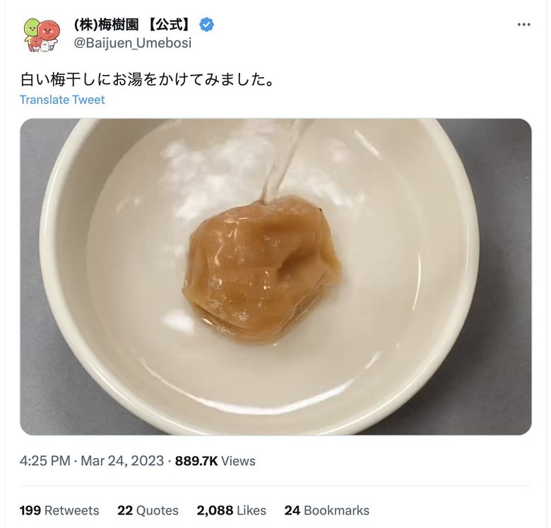 すっかり白い部分がなくったので、白い部分は塩分ということが判明！