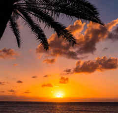 ハワイのお墓が日本人に人気!?えっ、でもお墓参りはどうするの…？