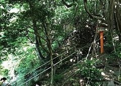 子供も大人も大満足！夏のおでかけにおすすめ！大都会の避暑地「等々力渓谷」