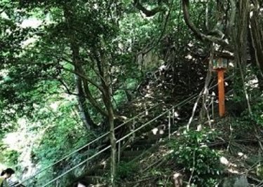 子供も大人も大満足！夏のおでかけにおすすめ！大都会の避暑地「等々力渓谷」