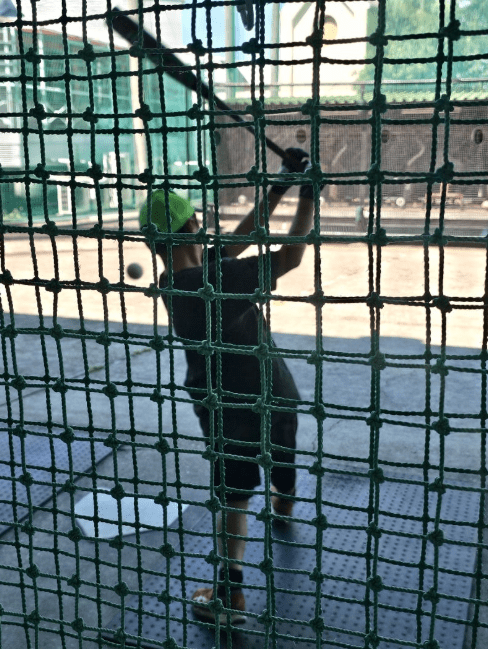 長男せいきち君は休みの日もバッティング練習