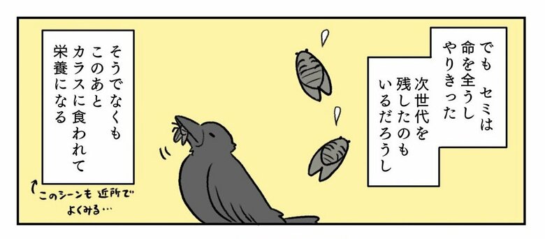 漫画「夏とむすことセミのいのちと」P17