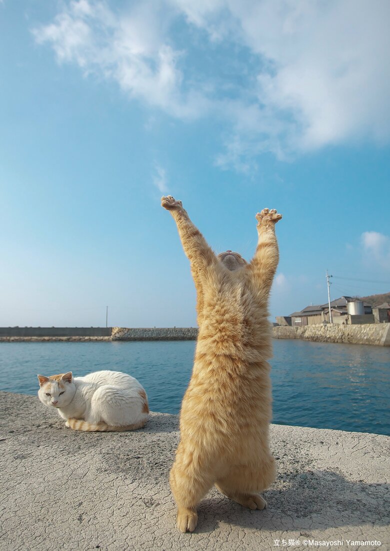 元気パワー全開っ！（撮影：山本正義さん）