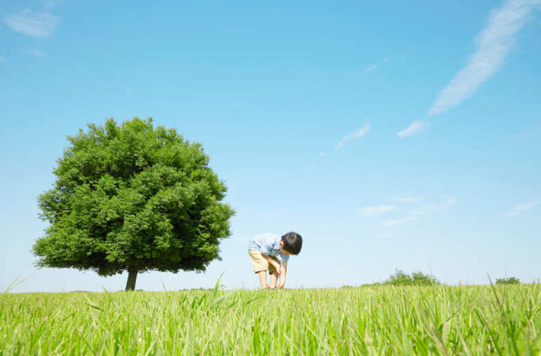 iStock.com/kokoroyuki