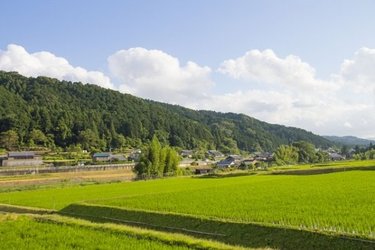小学生の山村留学・離島留学ってどんなもの？