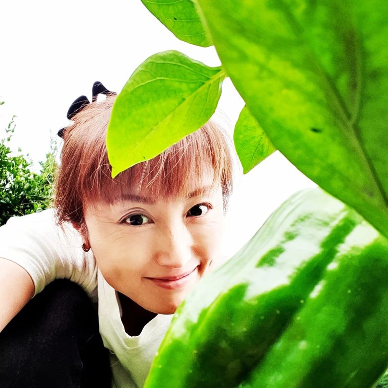 井上晴美