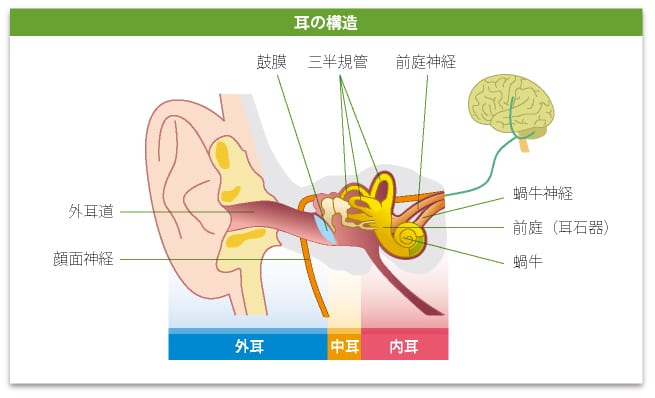 引用：日本耳鼻咽喉科学会「耳科・聴覚」