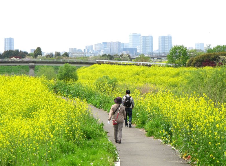 見沼田んぼの様子（2/5）