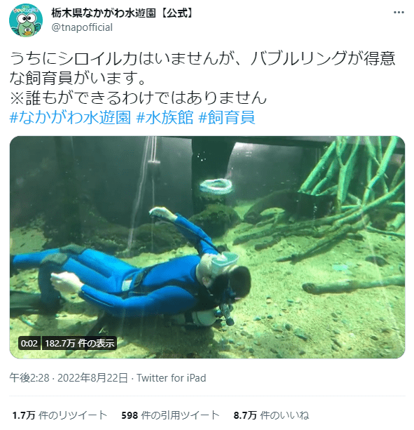 美しい空気の輪「バブルリング」が上っていく