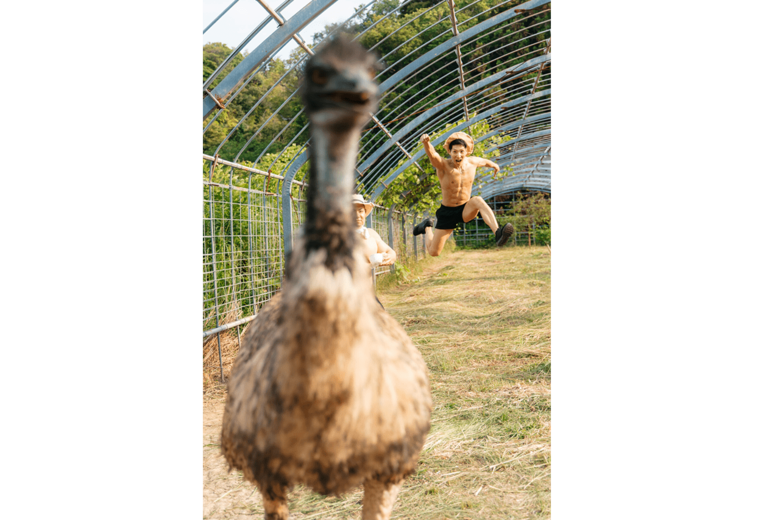「エミューを追いかけるマッチョ」