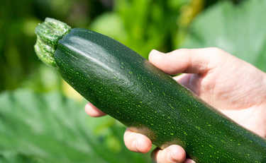 King ＆ Prince・岸優太さん「うまーい！」メインでいける“ズッキーニレシピ”