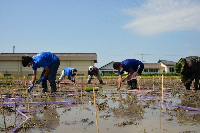 田植え体験ツアーの様子