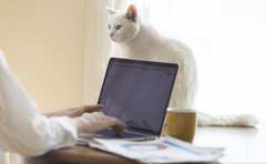 場所に縛られずに働く“プラットフォーム構想”に賛同企業が続出！