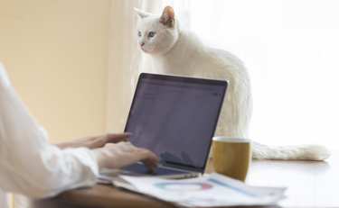 場所に縛られずに働く“プラットフォーム構想”に賛同企業が続出！