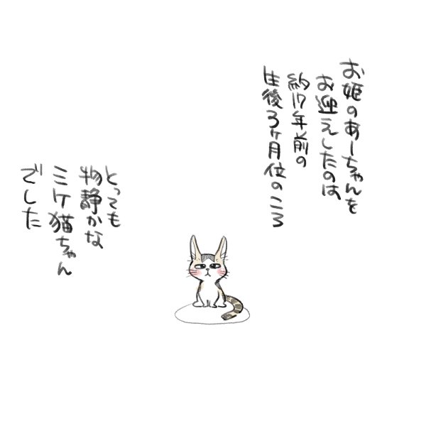 漫画『私のお姫さま』（2/64）