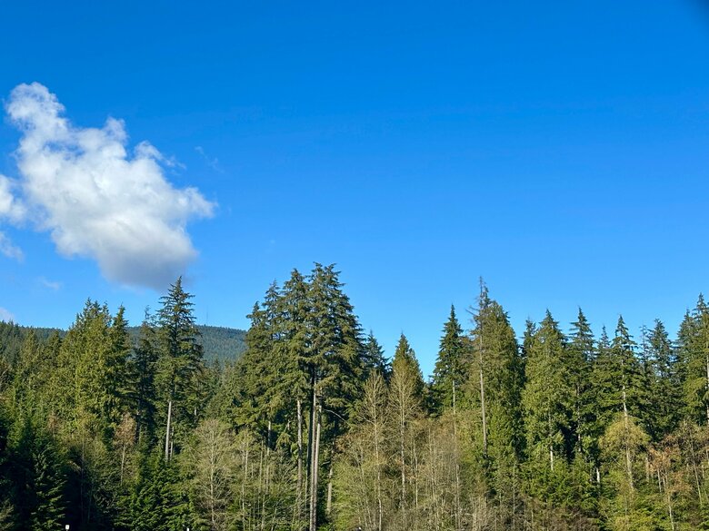 カナダの壮大な自然