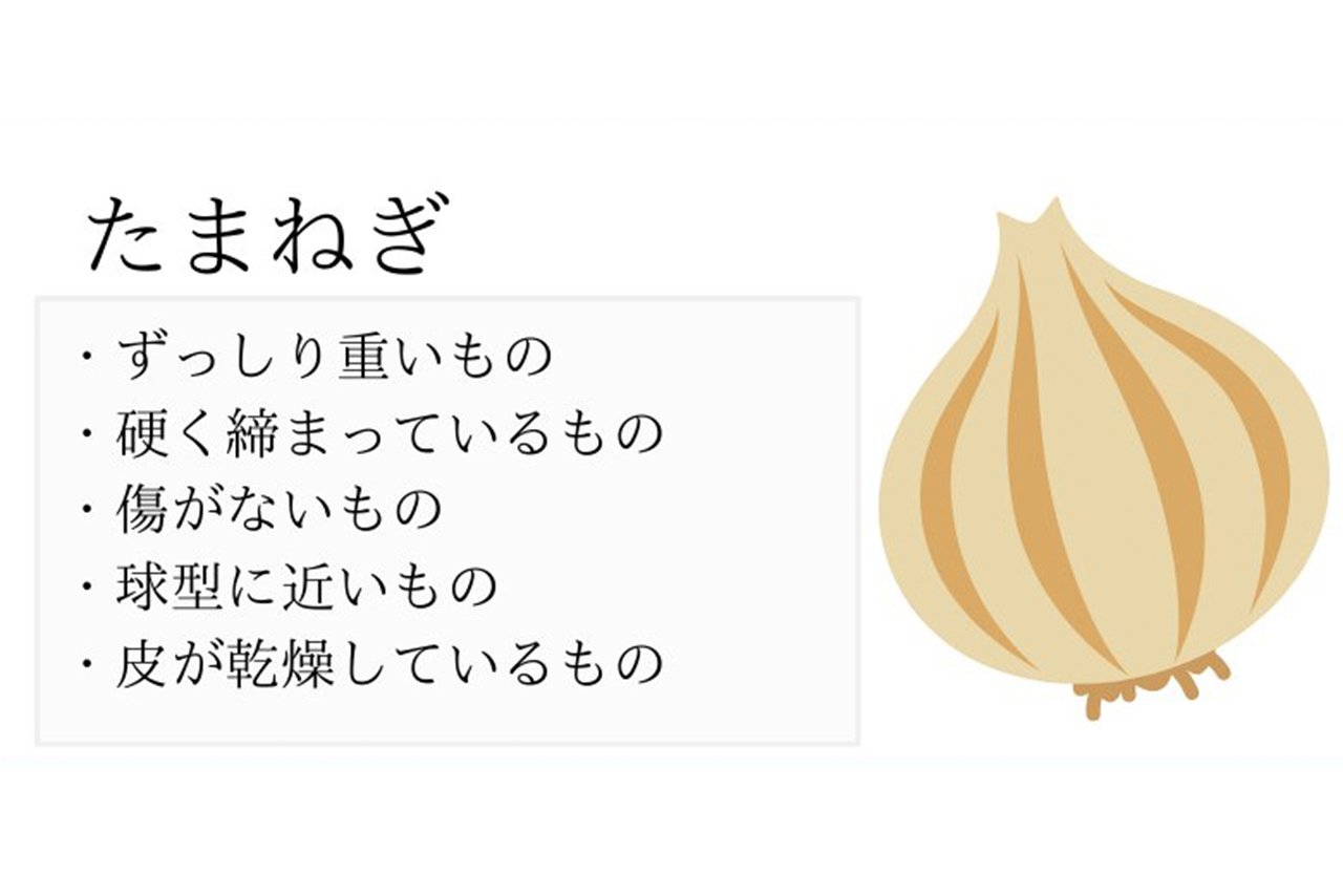 今なぜ玉ねぎが高い 八百屋歴10年のプロが解説 今後は野菜がサイズダウンする可能性が Chanto Web