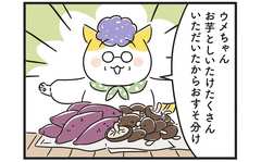 楽しいおやつタイムを修羅場に変えた孫のひと言