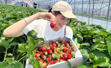 「ほんまに寝ぇや」永島昭浩が起業した娘・優美に贈った、両手いっぱいのフルーツと「不器用な愛」