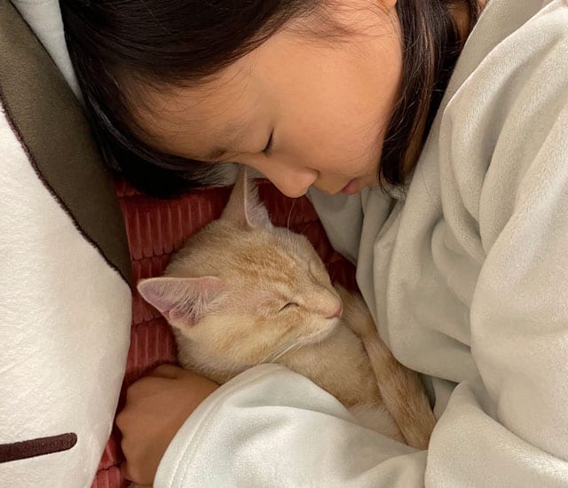 長女と眠るホープ（首里虎）くん