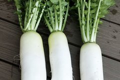 大根が冷蔵で4か月もった!?農家が語る保存法に11万いいね「シャキシャキで水分しっかり残ってる」