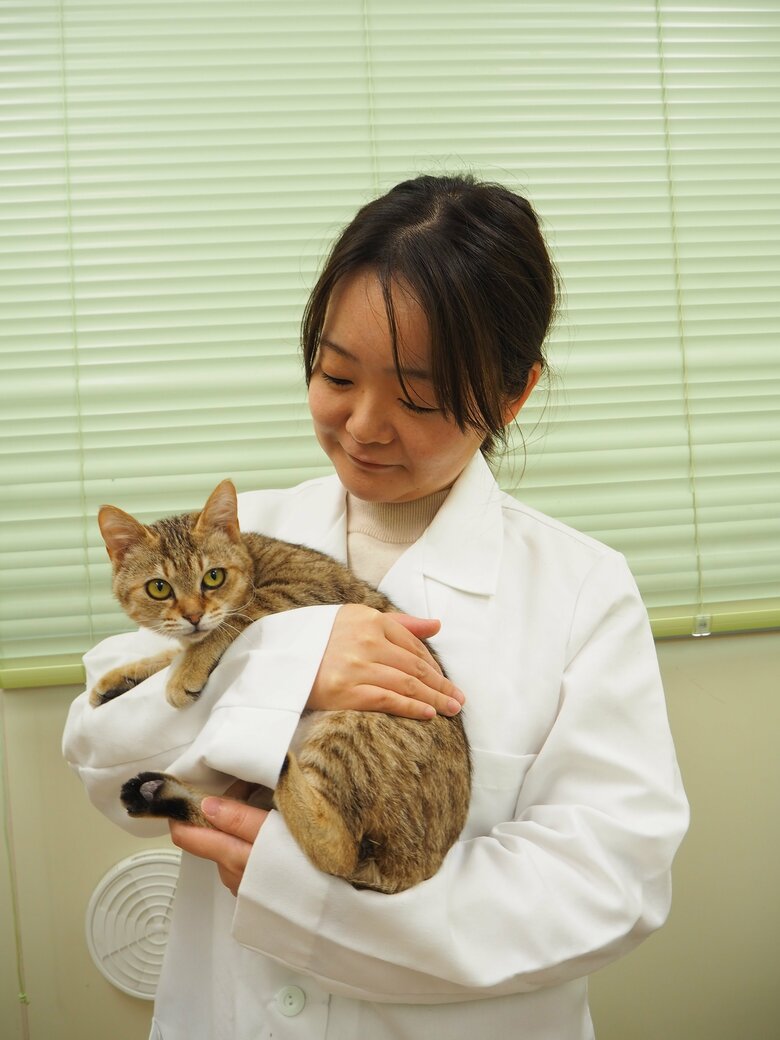 動物病院に勤務していたころ