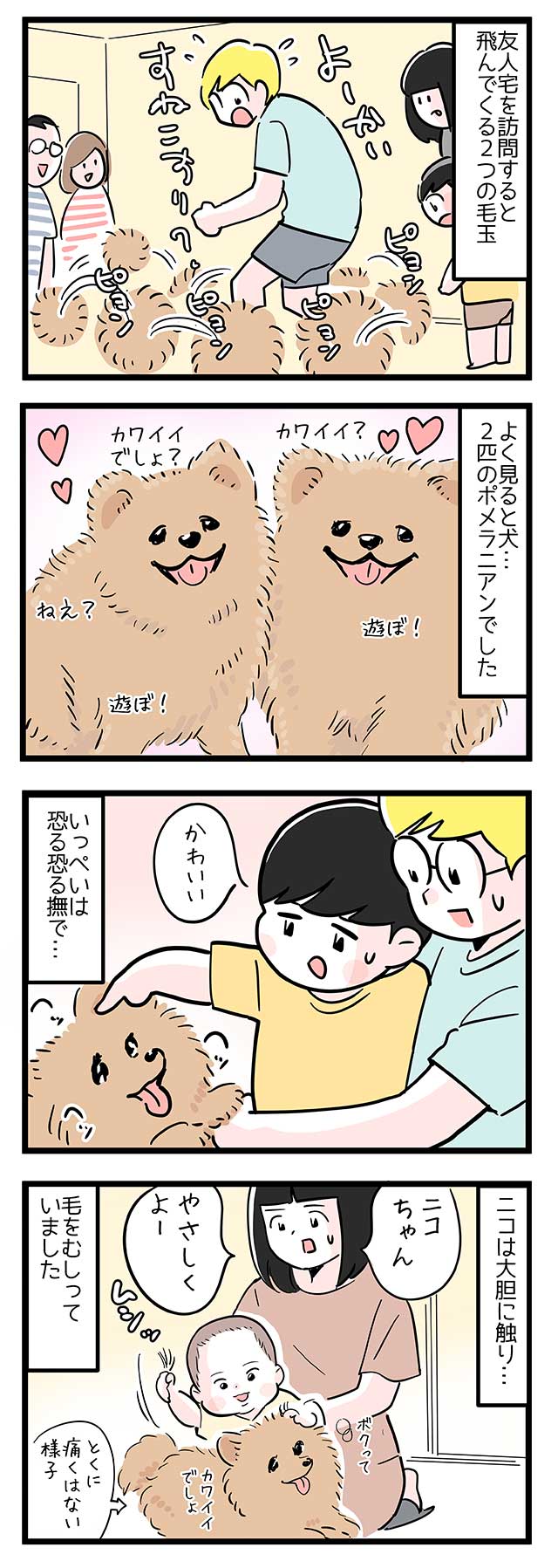 犬の激しいお出迎え きょうだいの対応力に差が Chanto Web