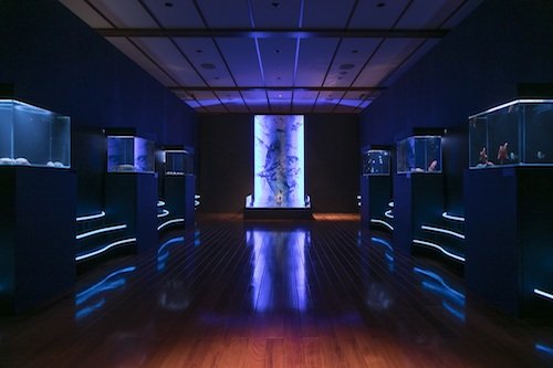 ★B1F_深海全体図