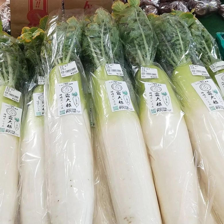 泉水淑子さんが作る「霜降り姉崎大根」