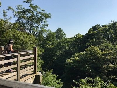 20170803-5