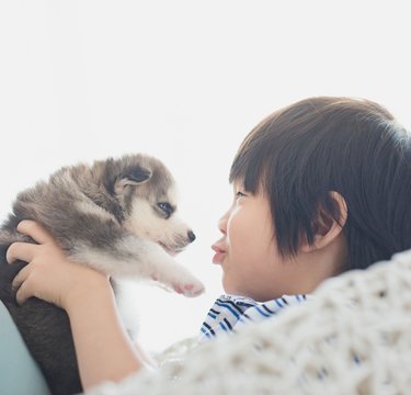 アニマルセラピーが精神的な子どもの傷を癒すのに効果的!?
