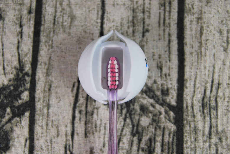 ダイソーおすすめ収納「歯ブラシホルダー(開閉収納式)」を使っている画像