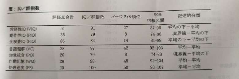 WAIS-III（知能検査）で境界線と示されている
