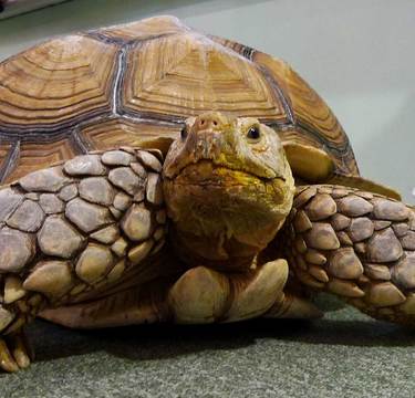 子連れで行く水族館選びのポイントは「大きすぎない」スケール感！