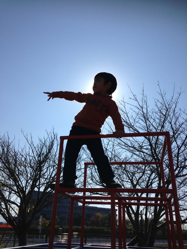 ジャングルジムで遊ぶ森中さんの長男（年少のころ）