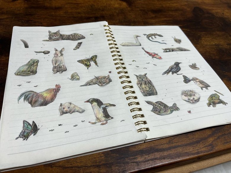 多様な動物を描く。「モデルにする動物の縛りやルールは特にありません」と、晴夏さん