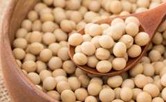 肌やシワ対策にも！「美活」におすすめの“大豆氷のアレンジレシピ”