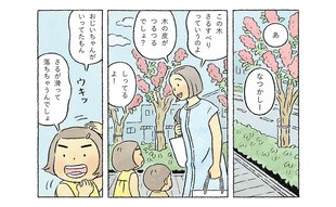 百日紅で思い出す父の教え