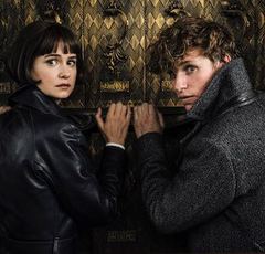 未公開シーンも！日本の興行成績は世界第２位の『ファンタスティック・ビーストと黒い魔法使いの誕生』