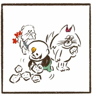 「もう収納できない現実に直面」