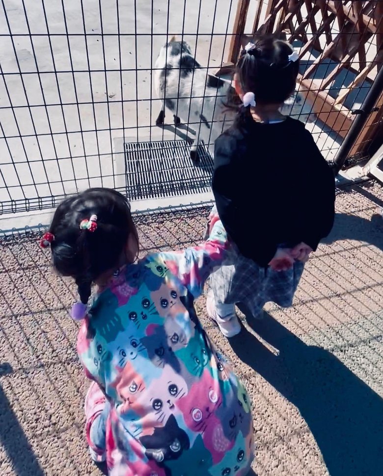 動物園でヤギを見る娘さんたち。狩野さん自身は動物が苦手なため「動物好きなようで ひとあんしん」とのコメントも