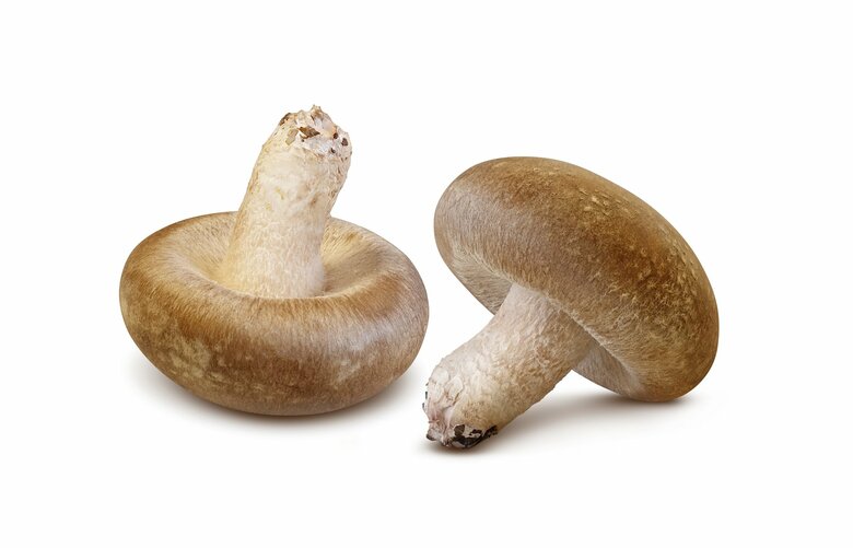 取りすぎは注意したい！「肌トラブルの改善にいい」食べ物6（きのこ）