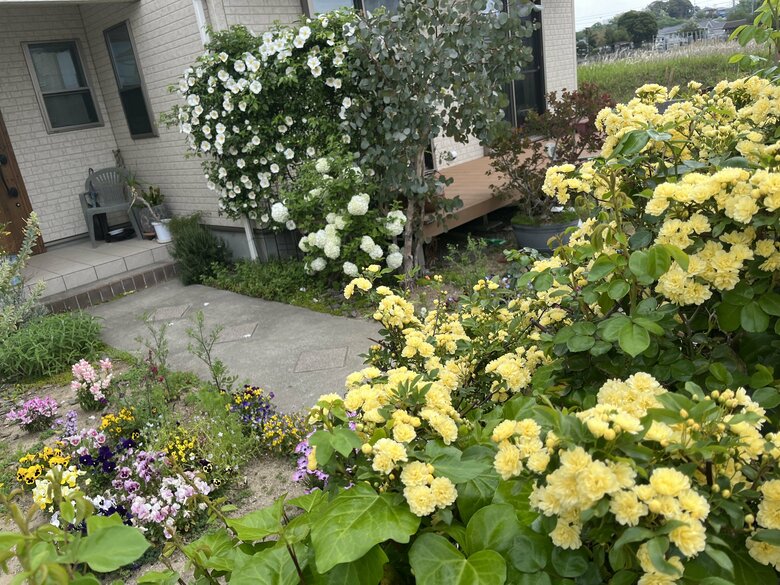 広い庭には四季折々の花が咲き乱れる