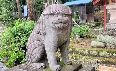 「神社に置かれた夫婦狛犬」が気になって。散歩中に発見